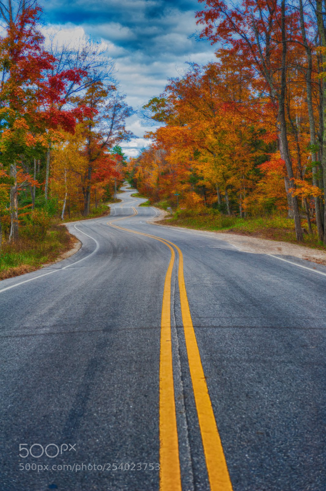 Nikon D700 sample photo. The long and winding photography