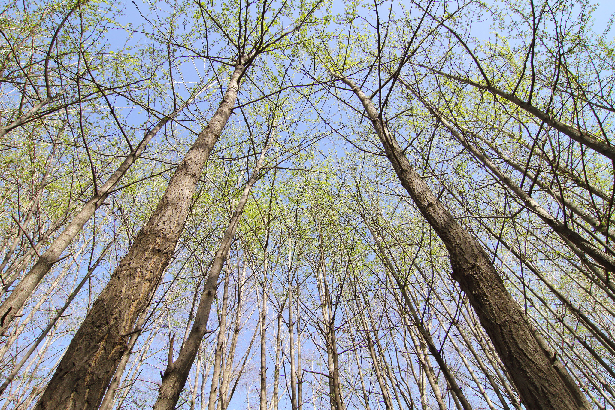 Tokina AT-X Pro 12-24mm F4 (IF) DX sample photo