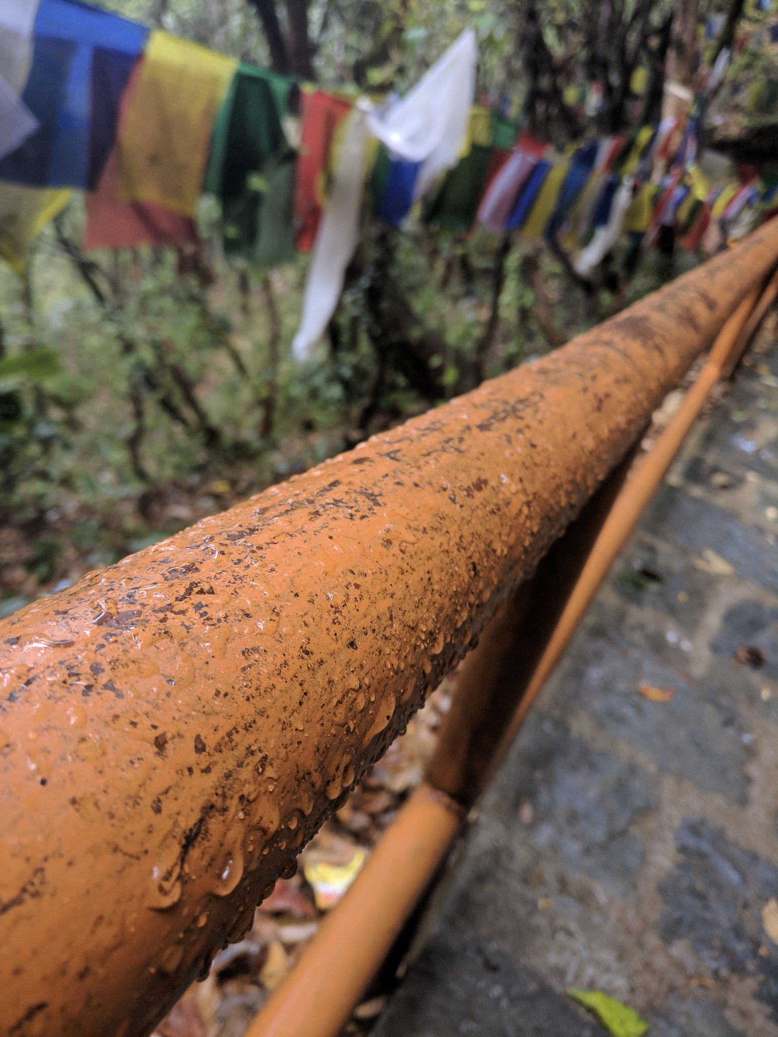 OnePlus A3000 sample photo. Rain drops photography