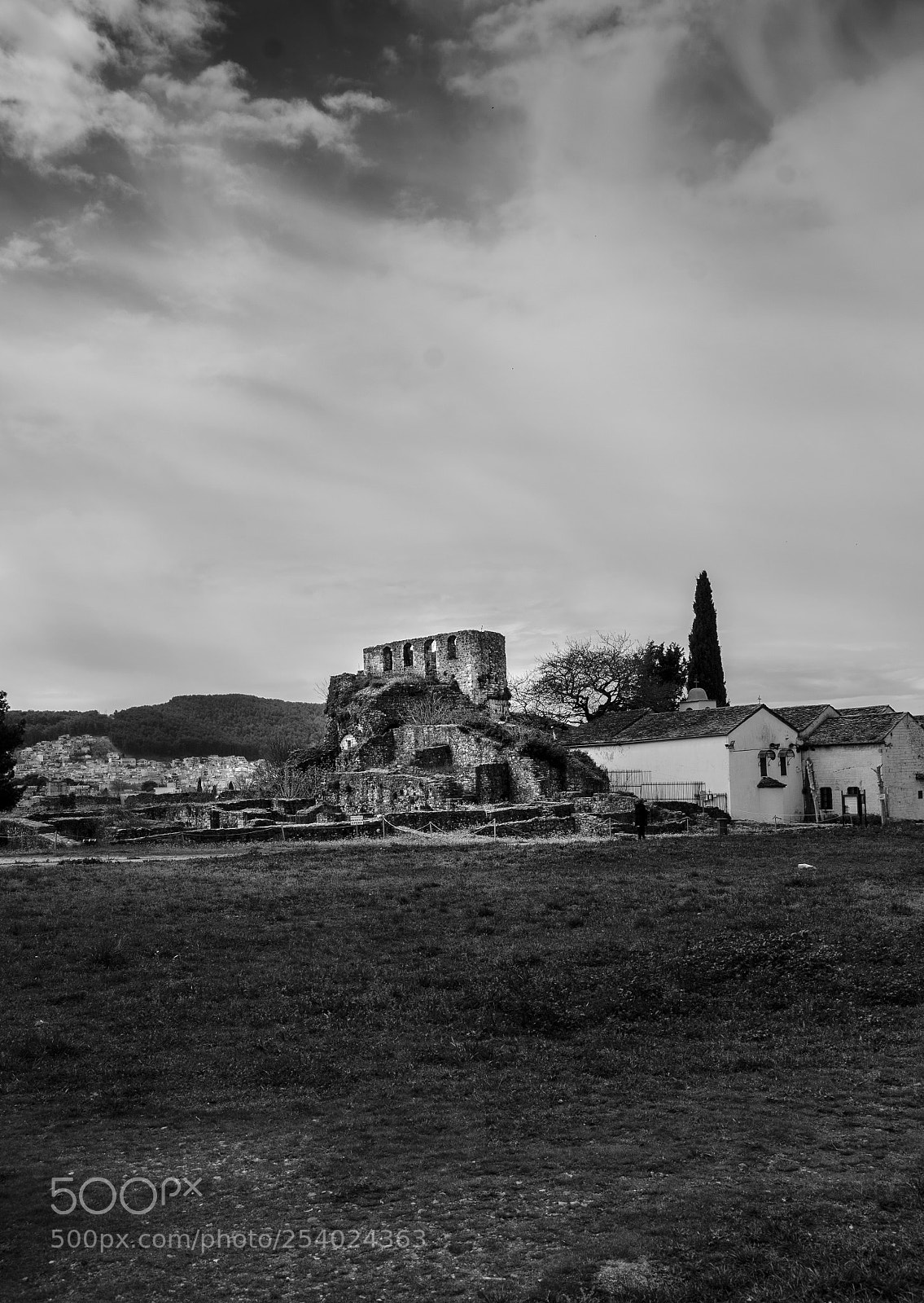 Nikon D7000 sample photo. Stand my ground photography
