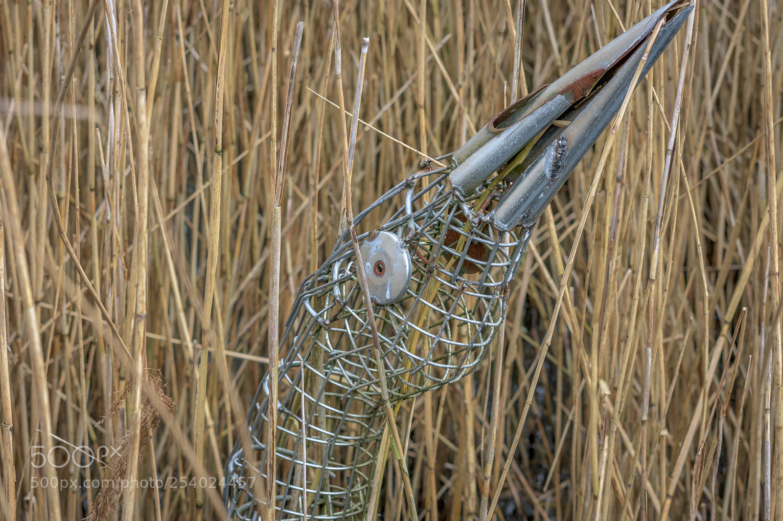 Nikon D7200 sample photo. Bittern sculpture at rspb photography