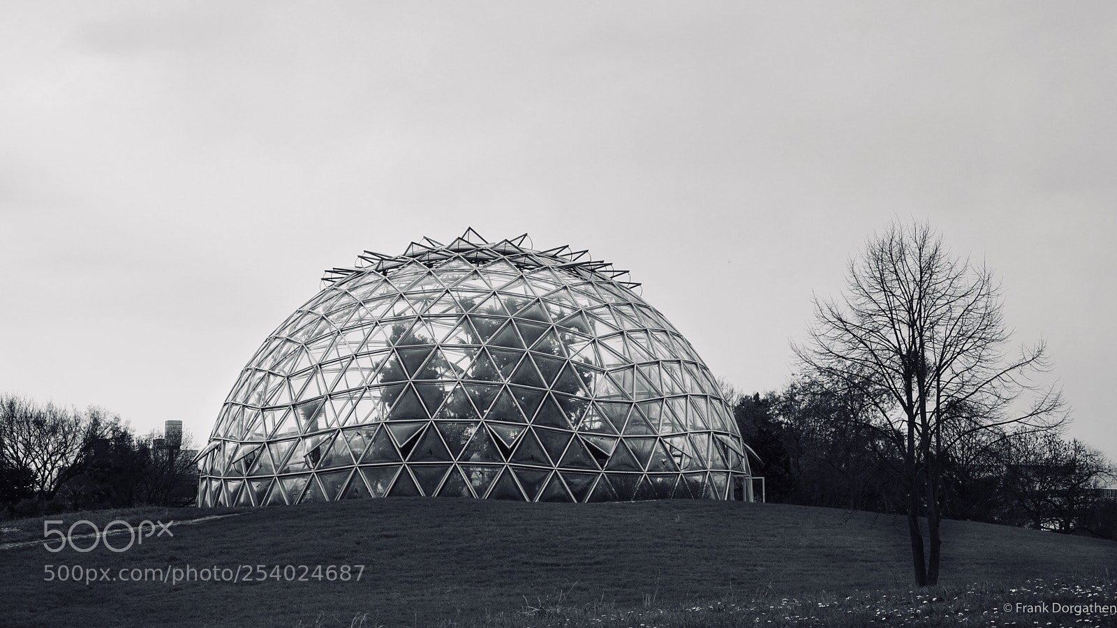 Sony a6000 sample photo. Botanical garden heinrich heine photography