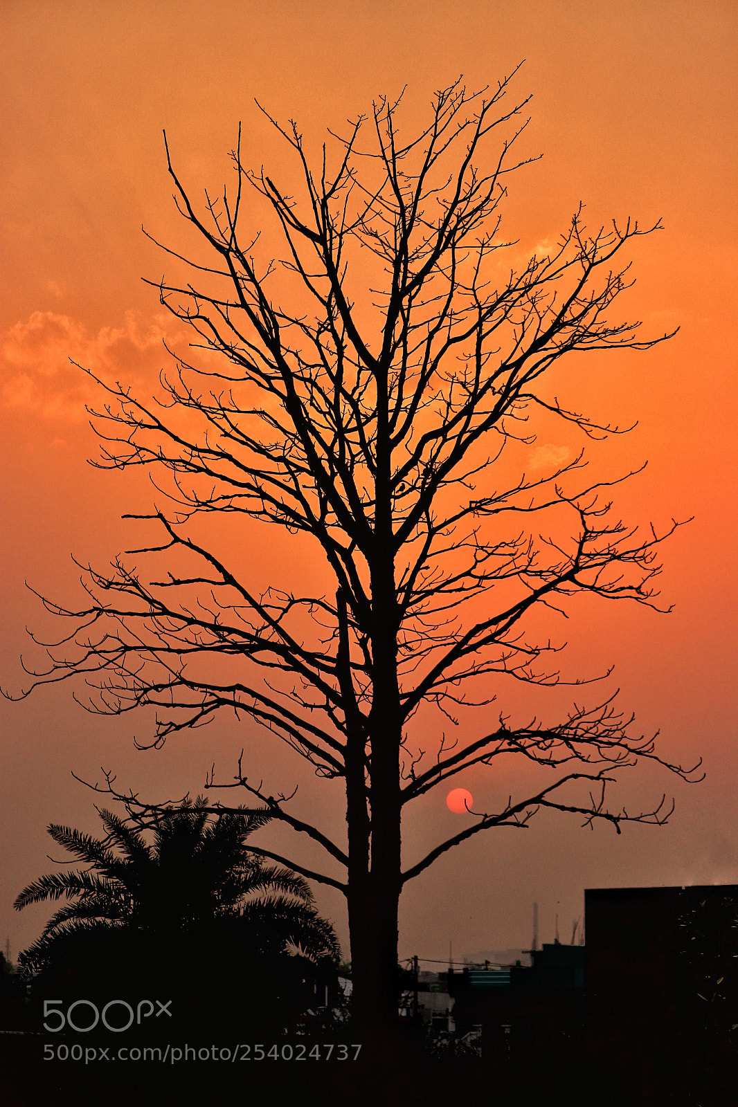 Canon EOS 77D (EOS 9000D / EOS 770D) sample photo. Sun at dawn photography