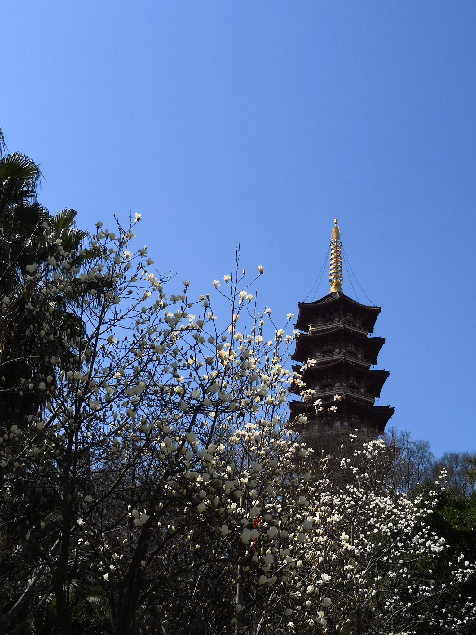 HUAWEI Honor V10 sample photo