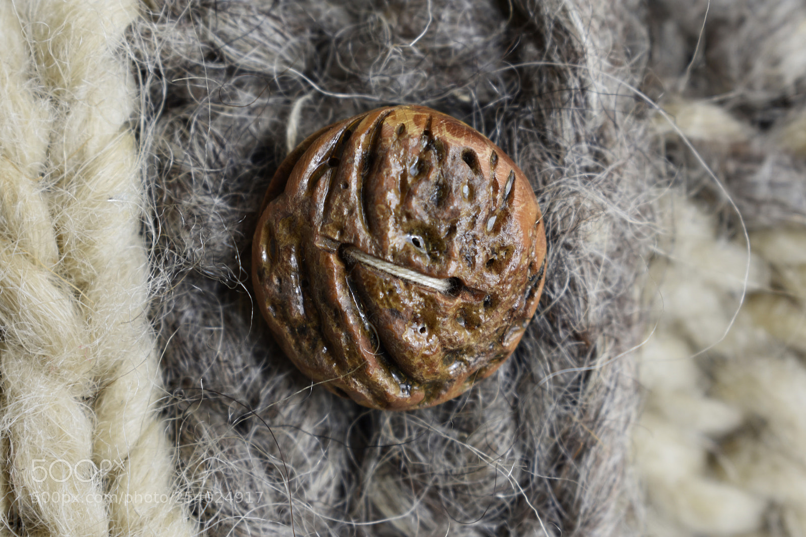 Nikon D3400 sample photo. Natural button on wool photography