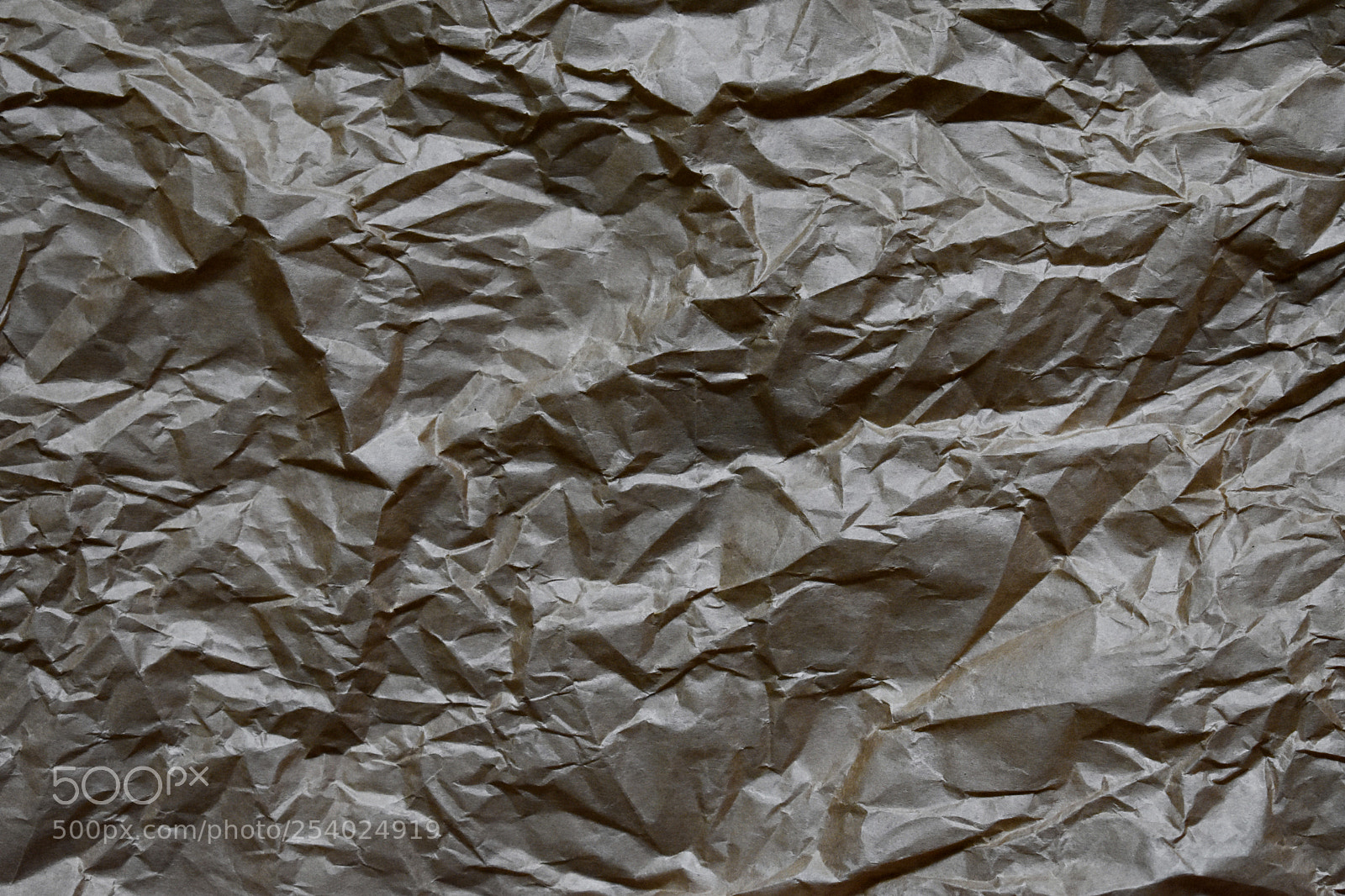 Nikon D3400 sample photo. Old crumpled paper bag photography