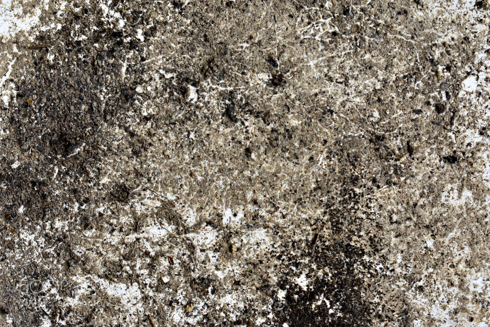 Nikon D3400 sample photo. Dirt pattern wallpaper photography