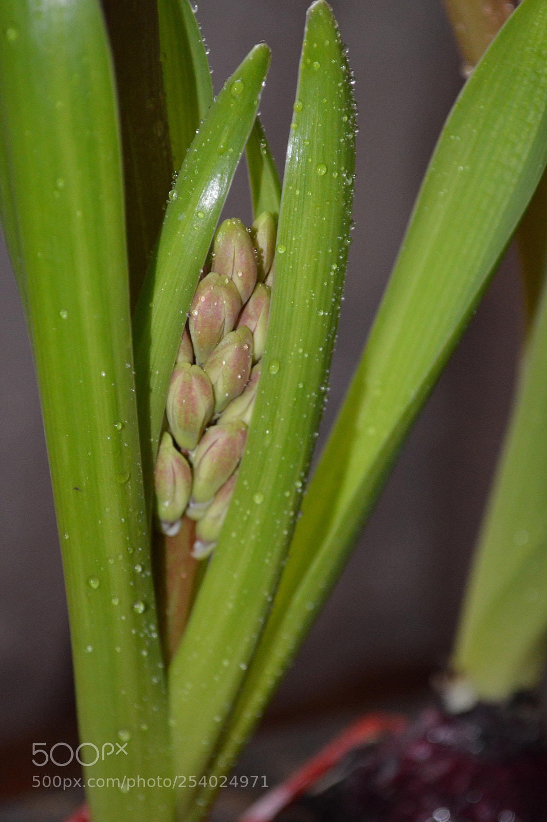 Nikon D3200 sample photo. Dsc photography