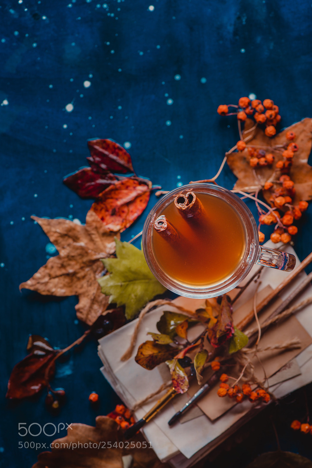 Nikon D800 sample photo. Autumn flat lay with photography