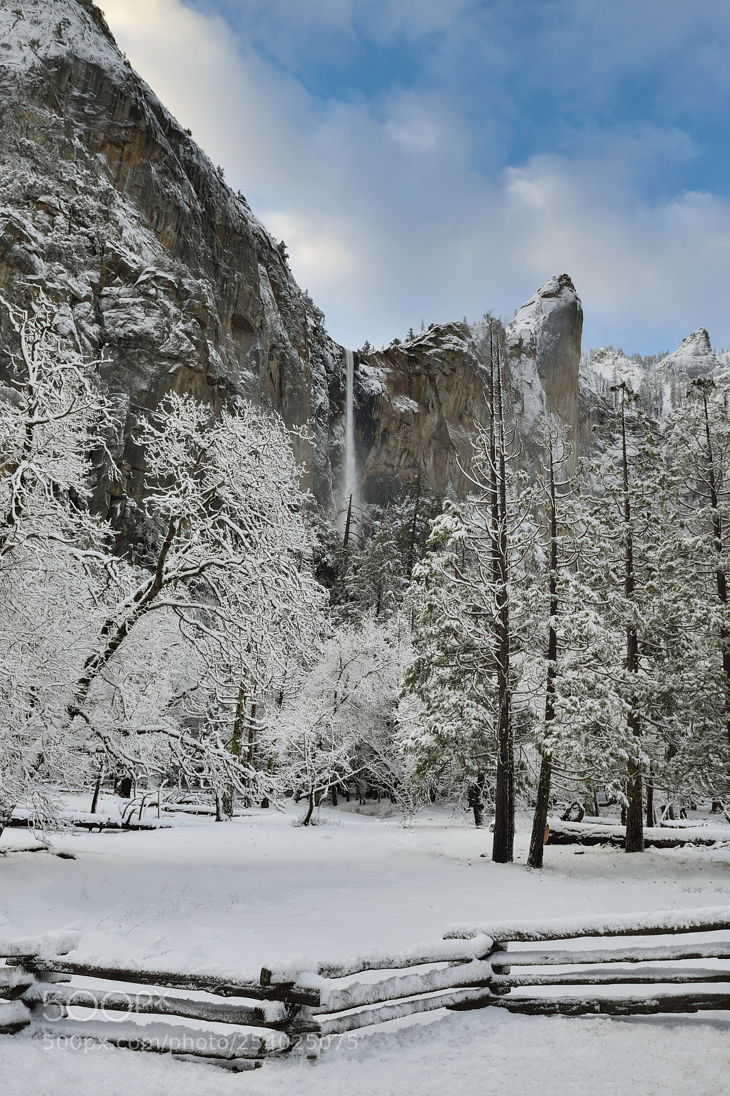 Nikon D800E sample photo. Yosemite winter morning photography