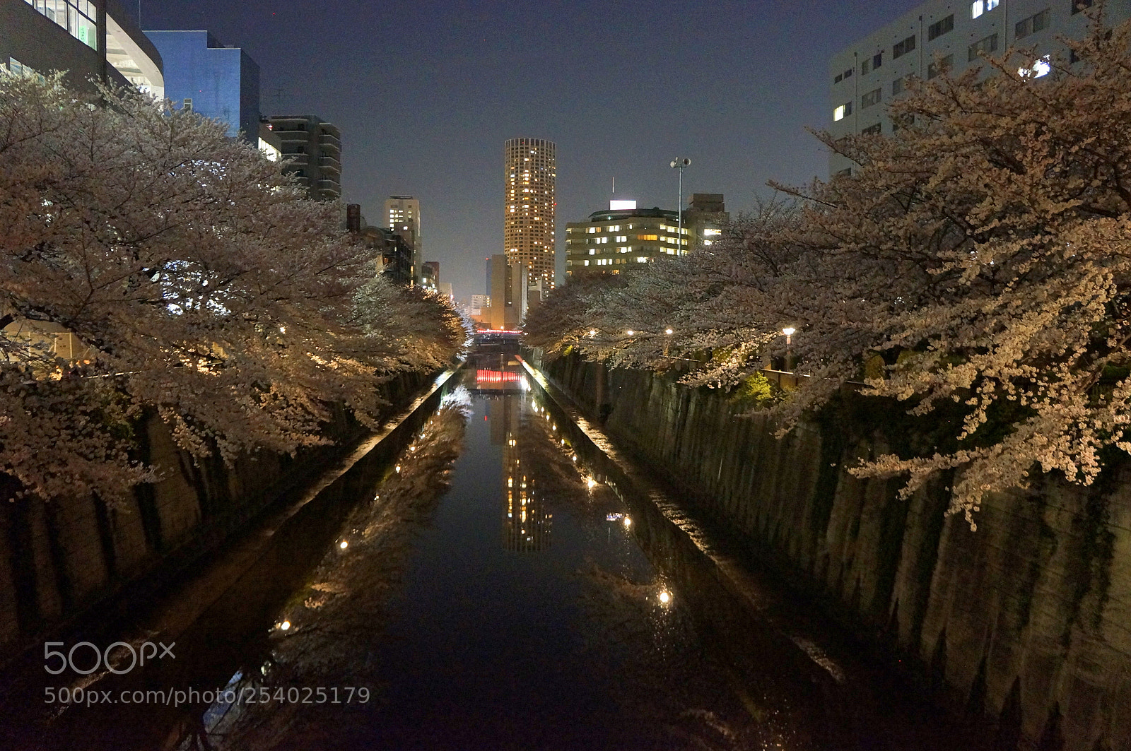 Sony Alpha NEX-5N sample photo. Pink at night! photography