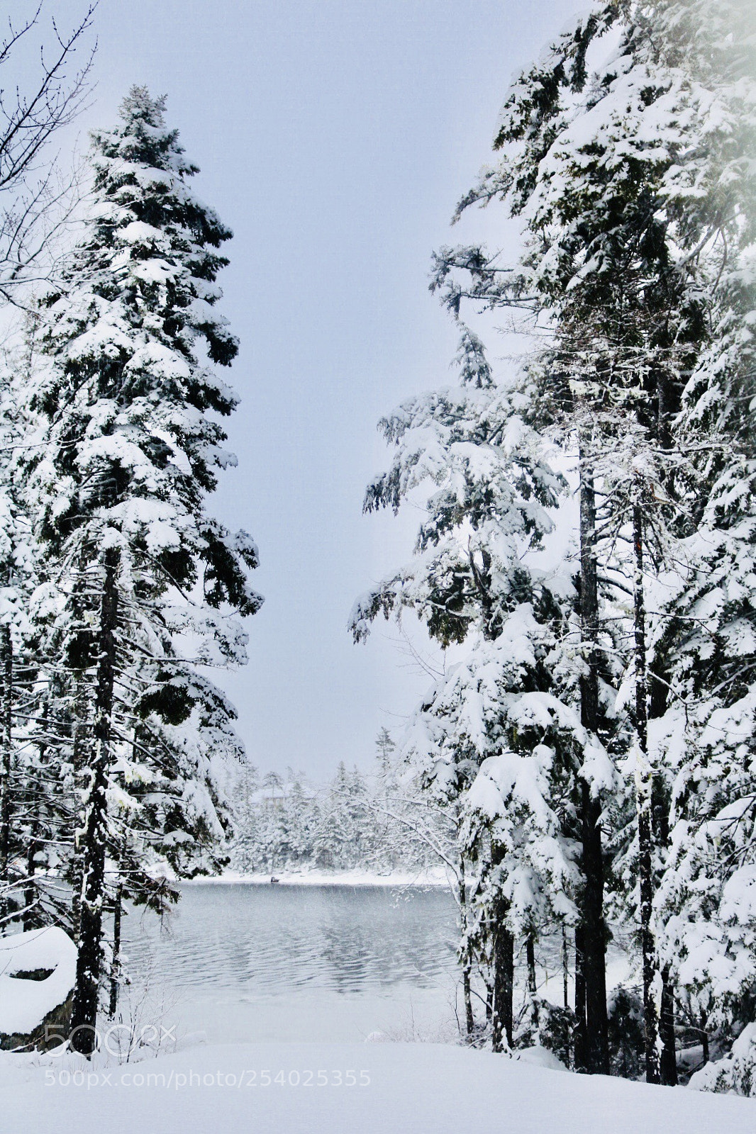 Canon EOS 750D (EOS Rebel T6i / EOS Kiss X8i) sample photo. A winters sky
 photography