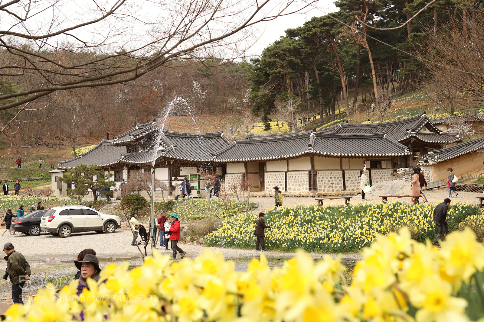 Canon EOS 6D Mark II sample photo. Untitled photography