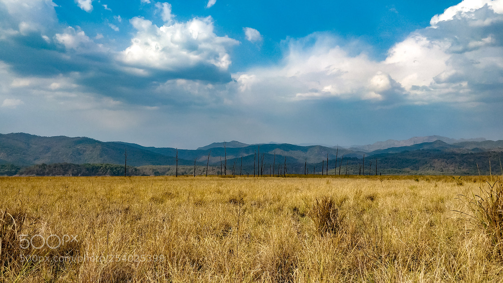 OnePlus 5 sample photo. Drama in grasslands photography