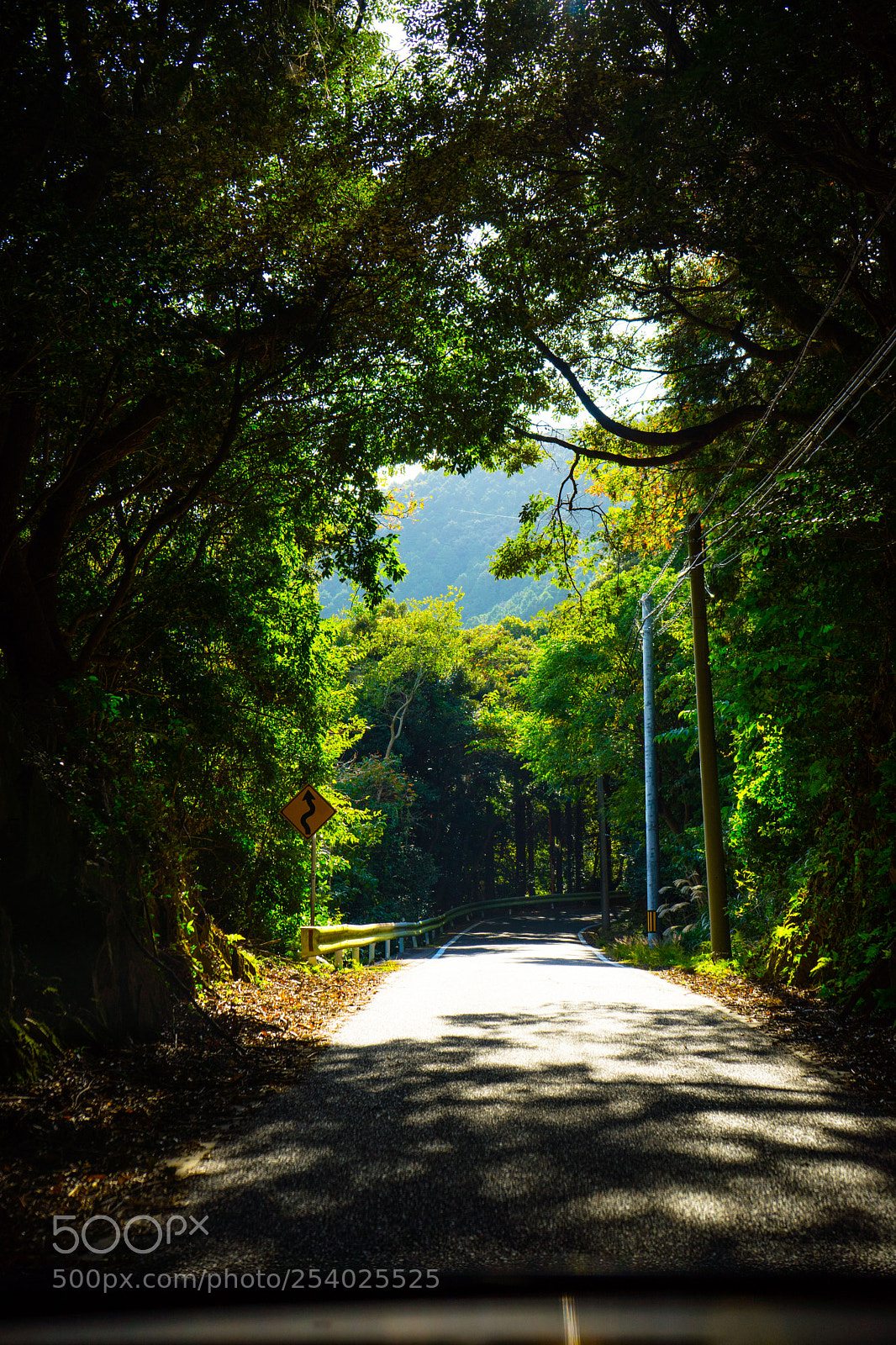 Sony a7 II sample photo. Tsushima photography