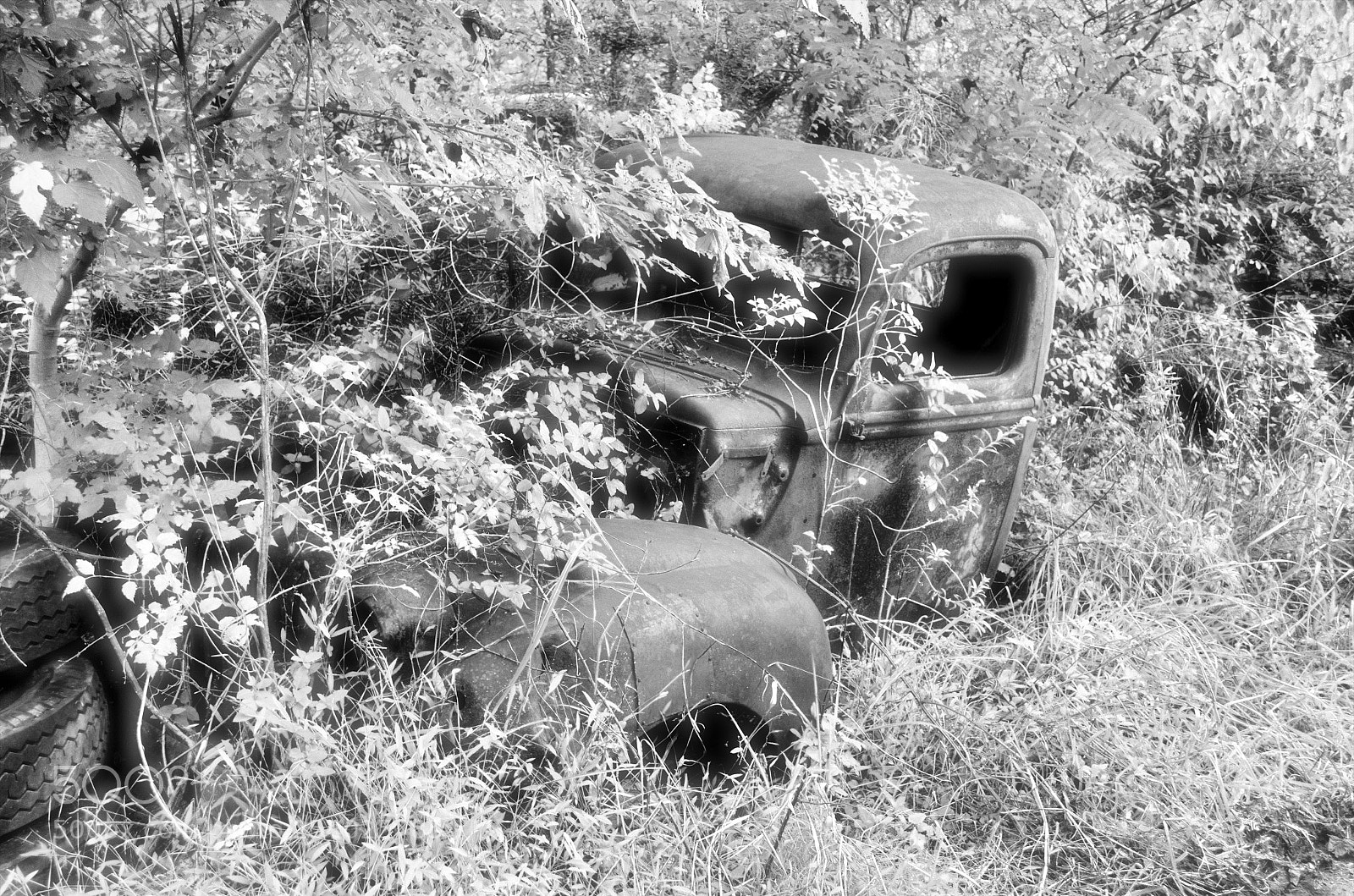 Nikon D5100 sample photo. Parked photography
