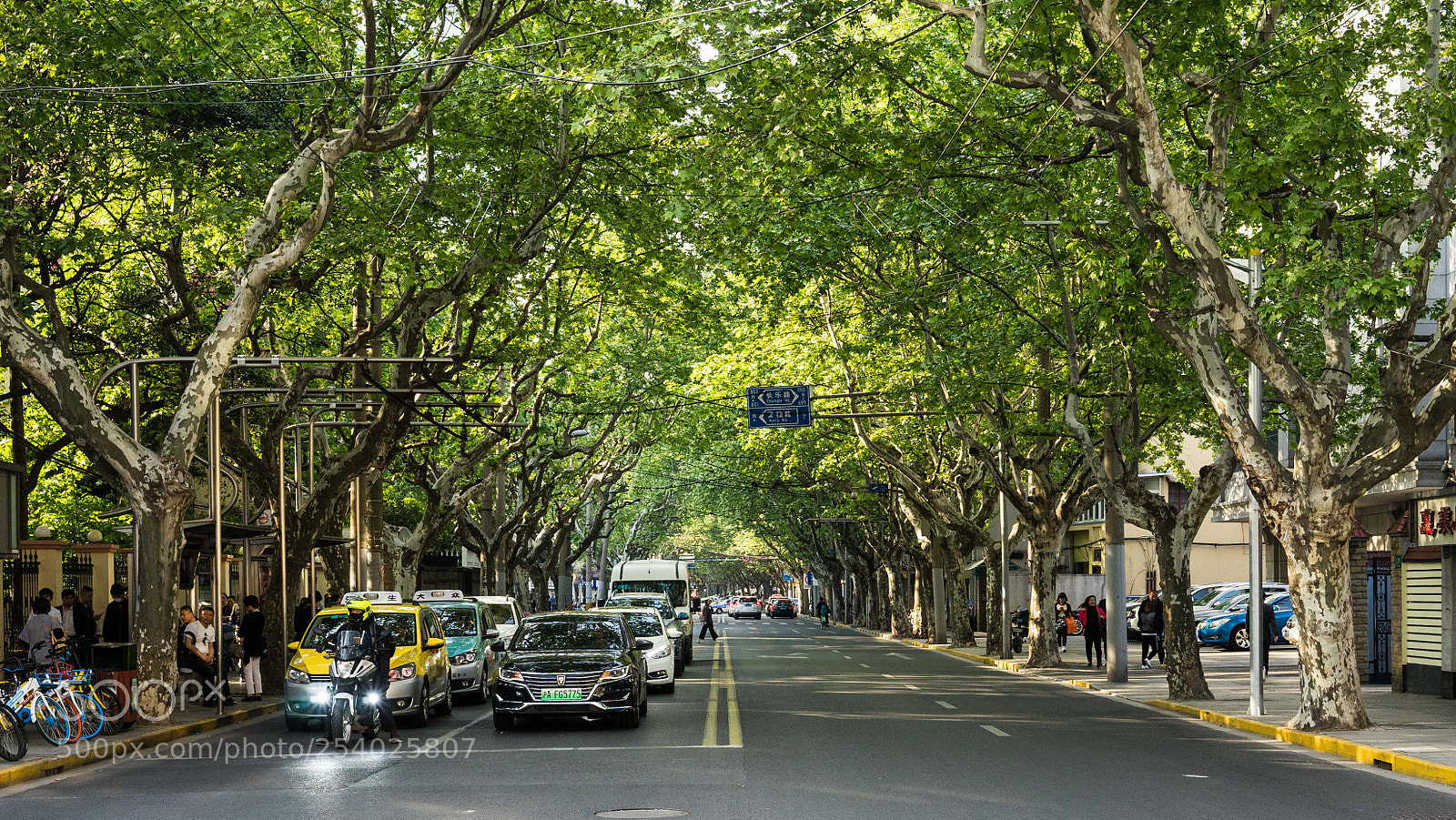 Sony a7 sample photo. Park avenue photography