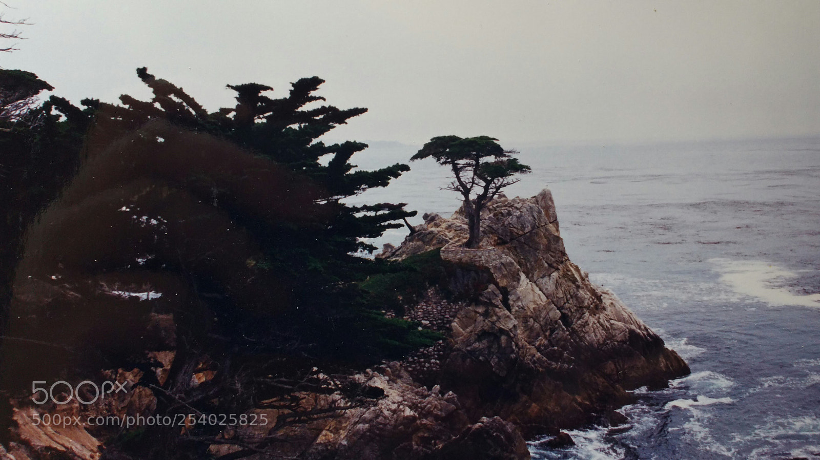 Samsung Galaxy Note4 sample photo. Lone tree from afar photography
