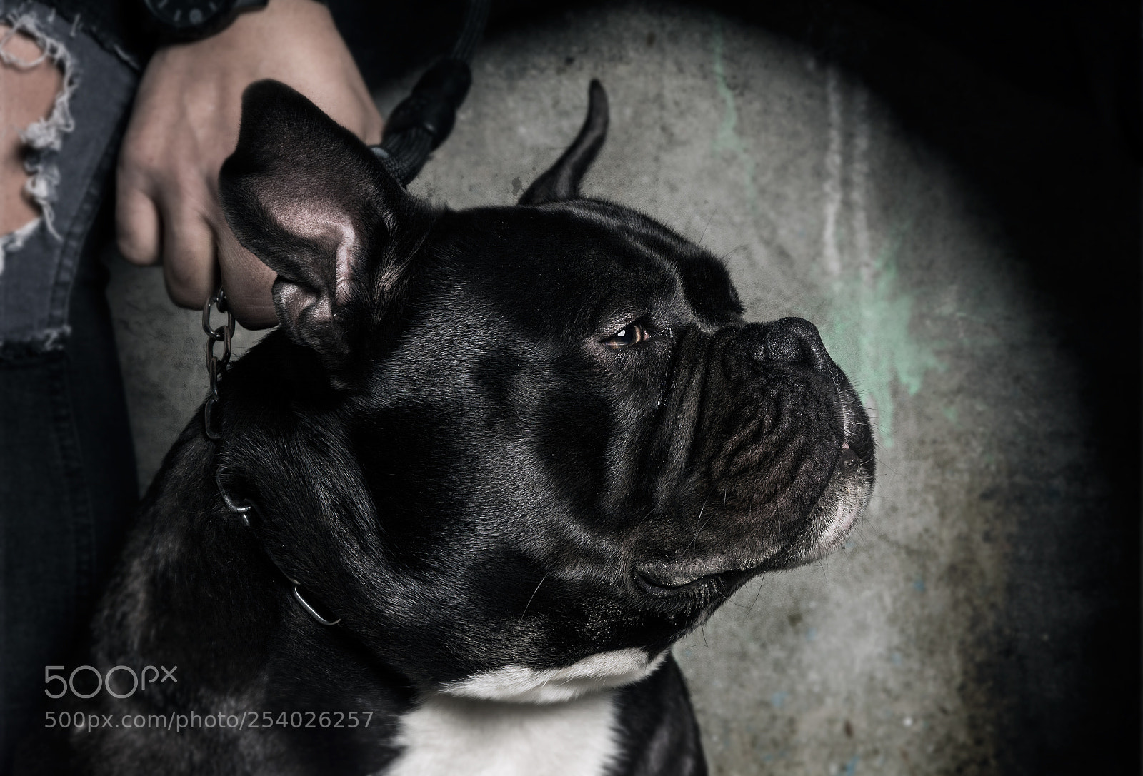 Nikon D7100 sample photo. Apollo photography