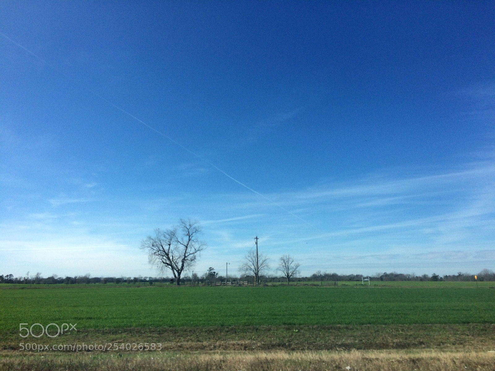 Apple iPhone 5s sample photo. Untitled photography