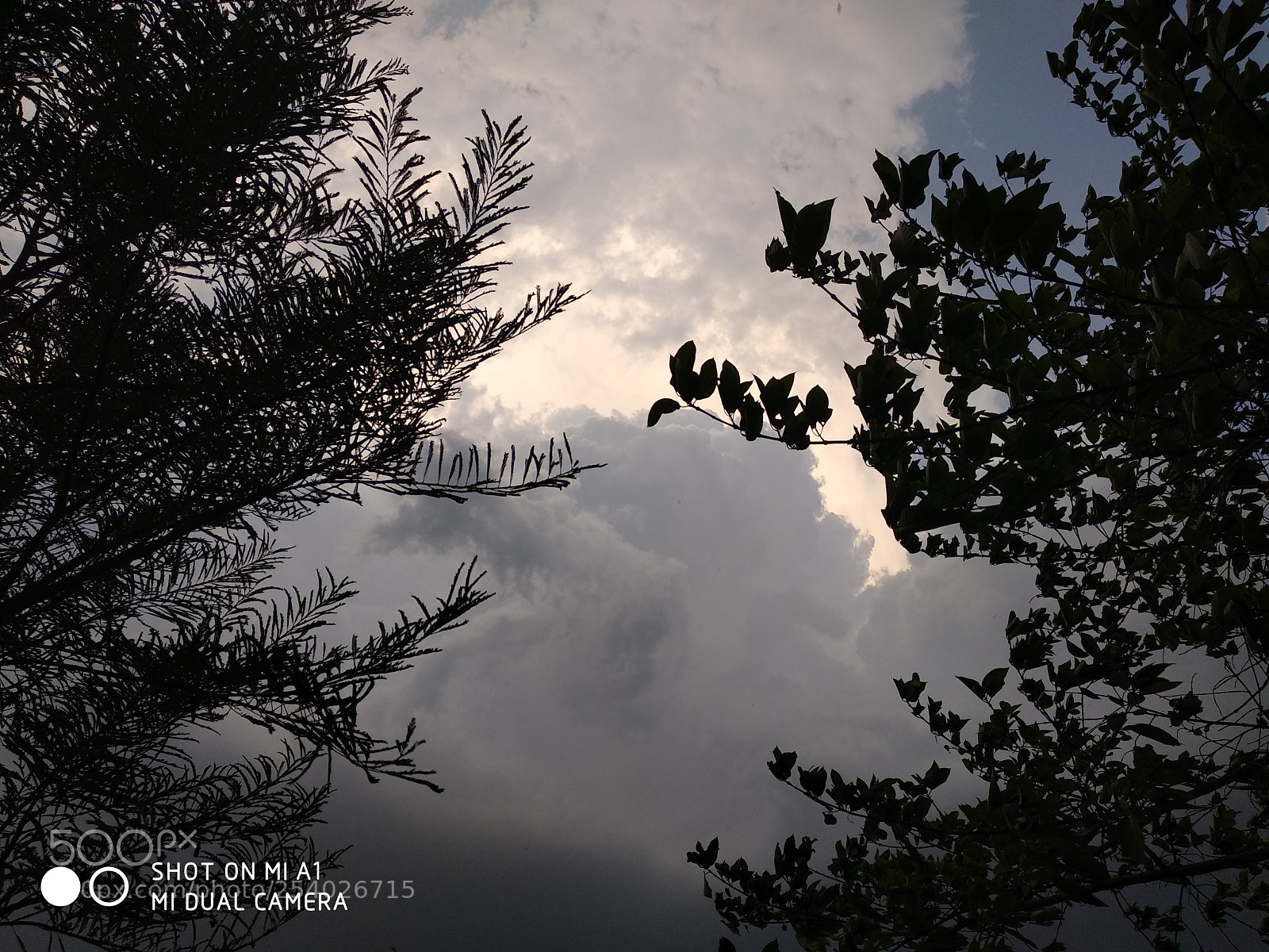 Xiaomi Mi A1 sample photo. Blackish sky photography