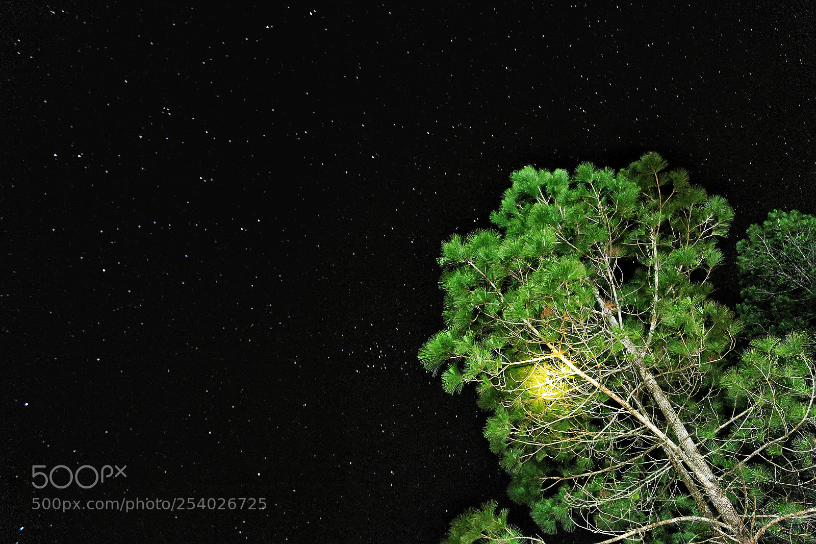 Canon EOS 70D sample photo. Star photography