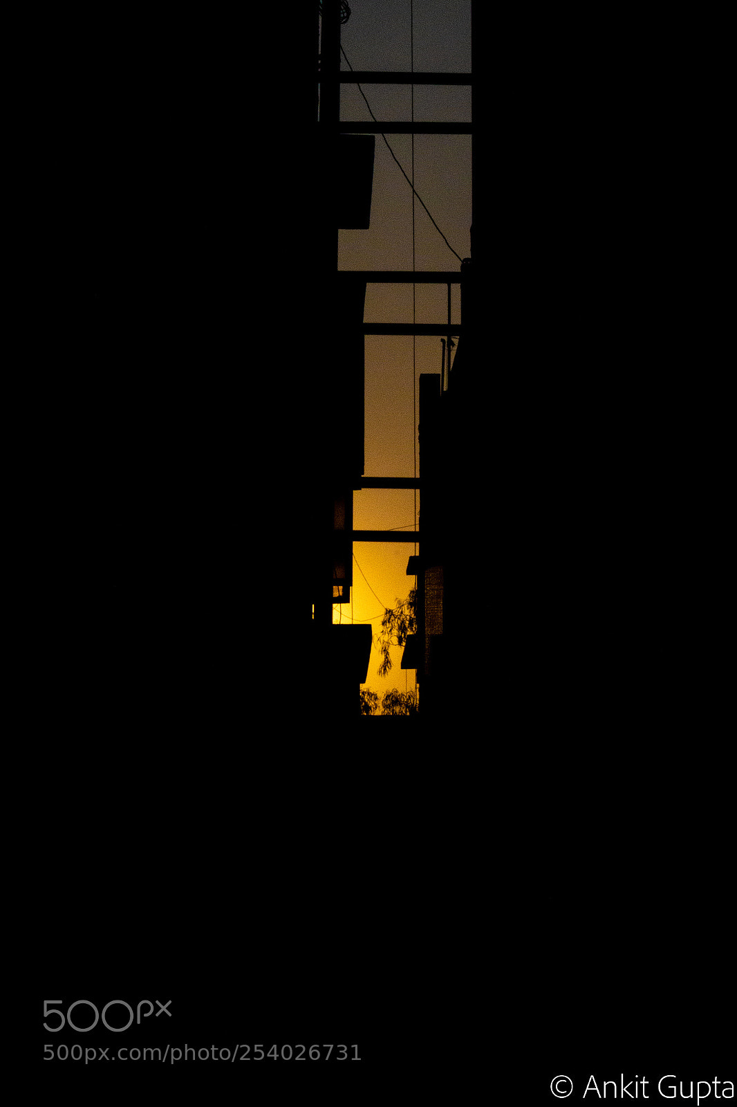 Canon EOS 700D (EOS Rebel T5i / EOS Kiss X7i) sample photo. Outside my window. photography