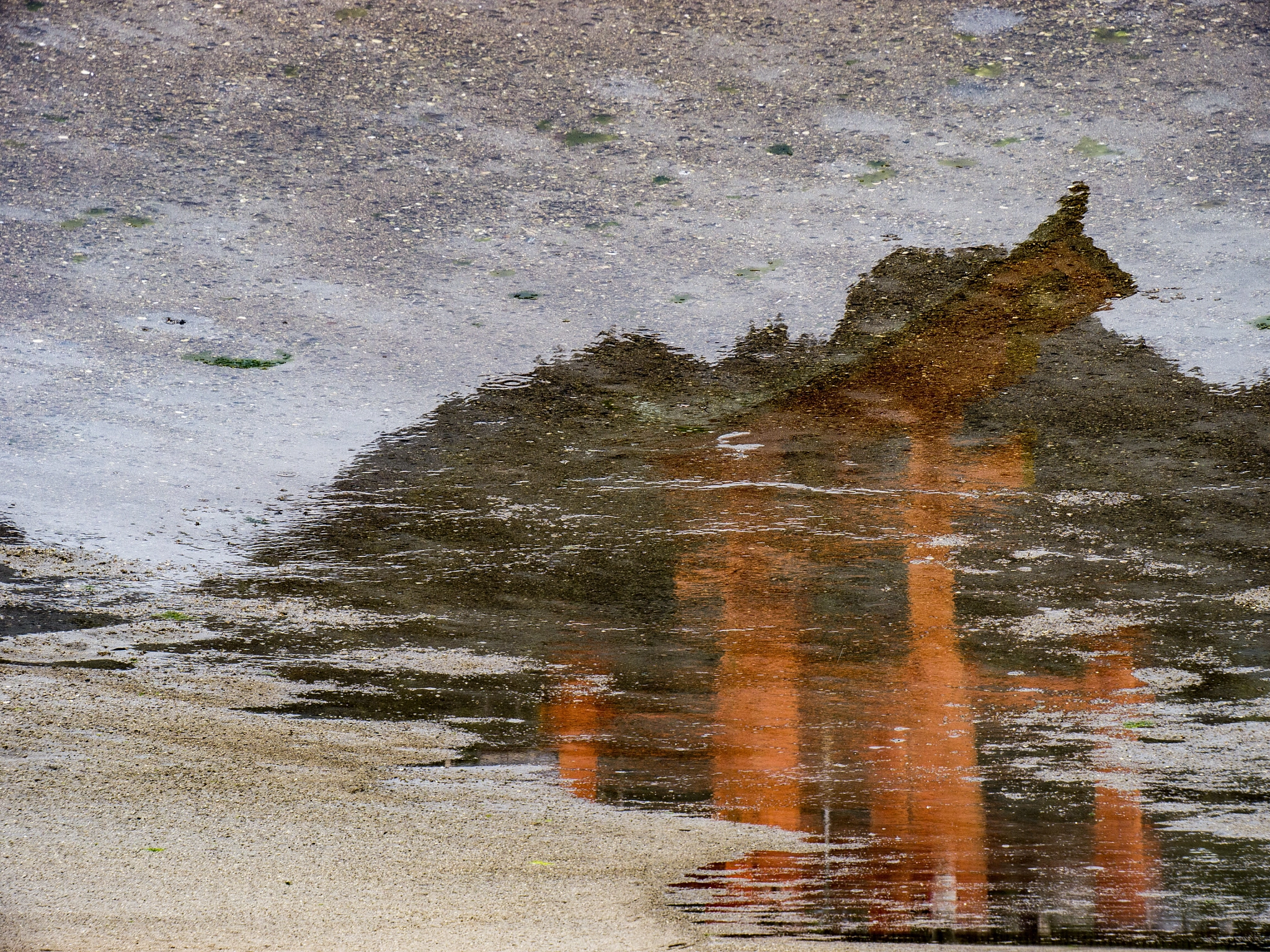 Panasonic Lumix DMC-GH2 sample photo. Reflection theory explained  photography