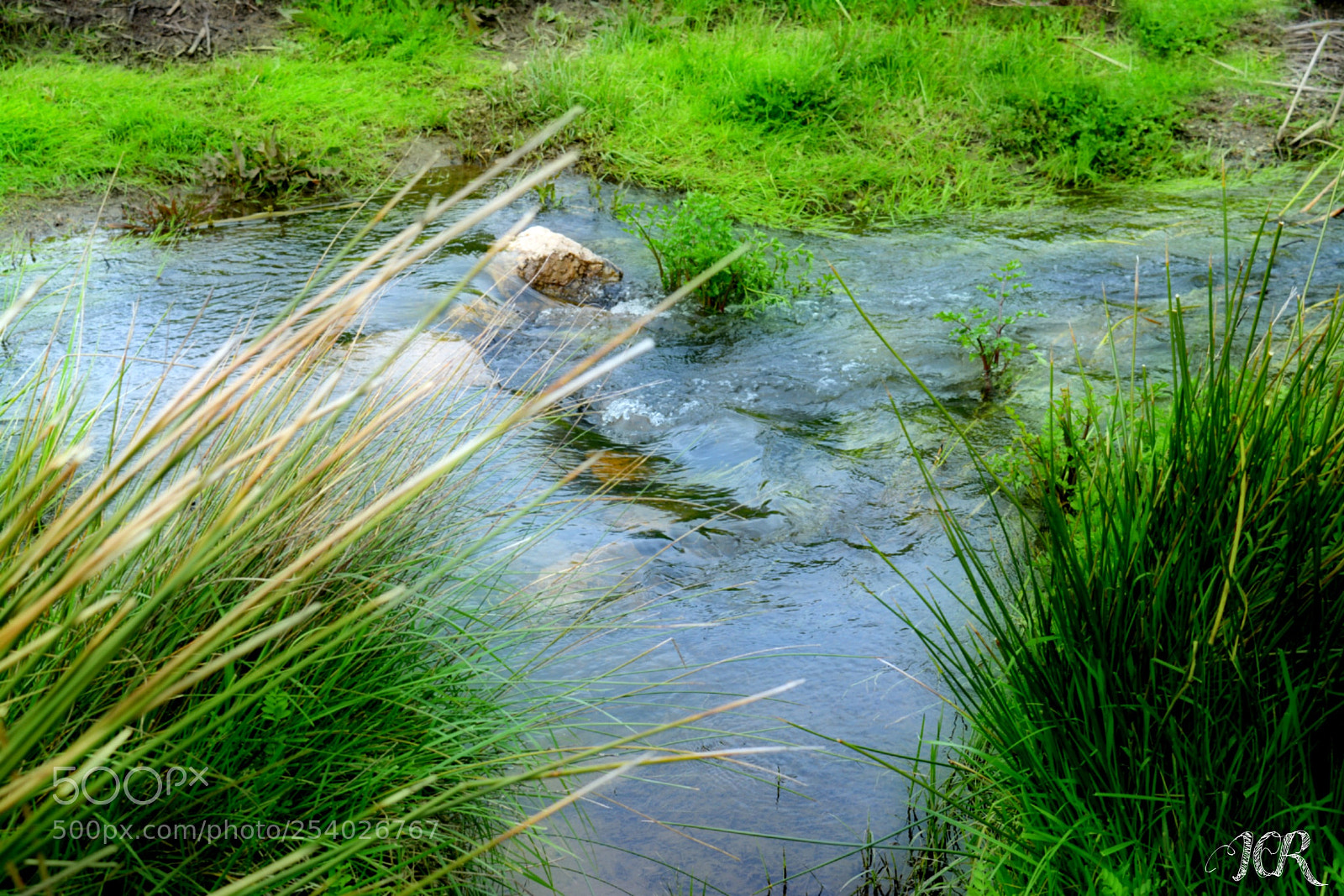 Nikon D5200 sample photo. Rio photography