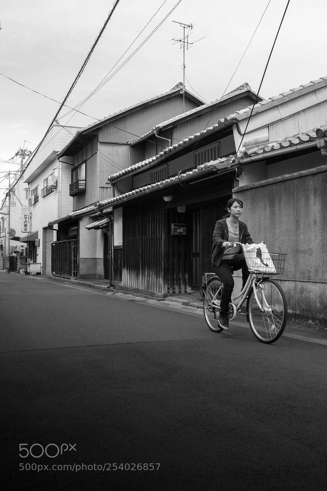 Canon EOS 60D sample photo. Xe đạp 3 photography