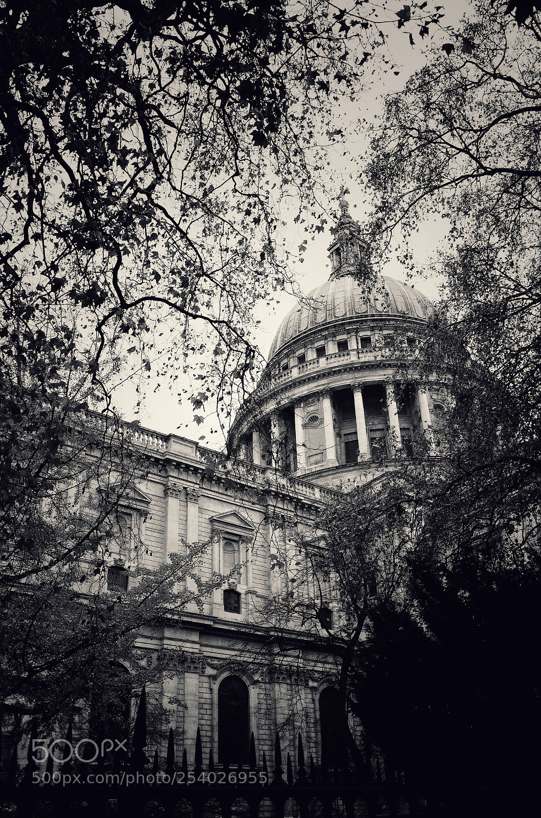Nikon D5100 sample photo. Saint paul cathedral photography
