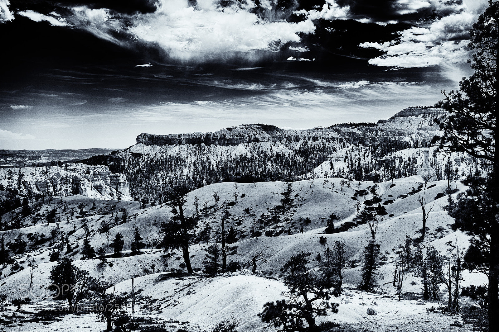 Fujifilm X100S sample photo. High country photography
