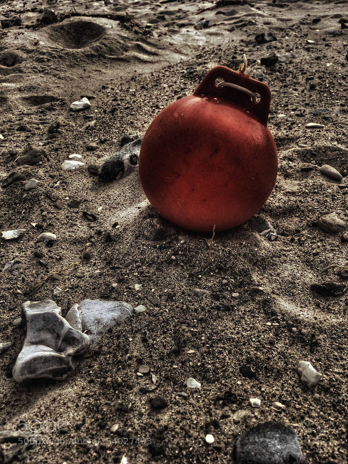 Apple iPhone SE sample photo. Untitled photography