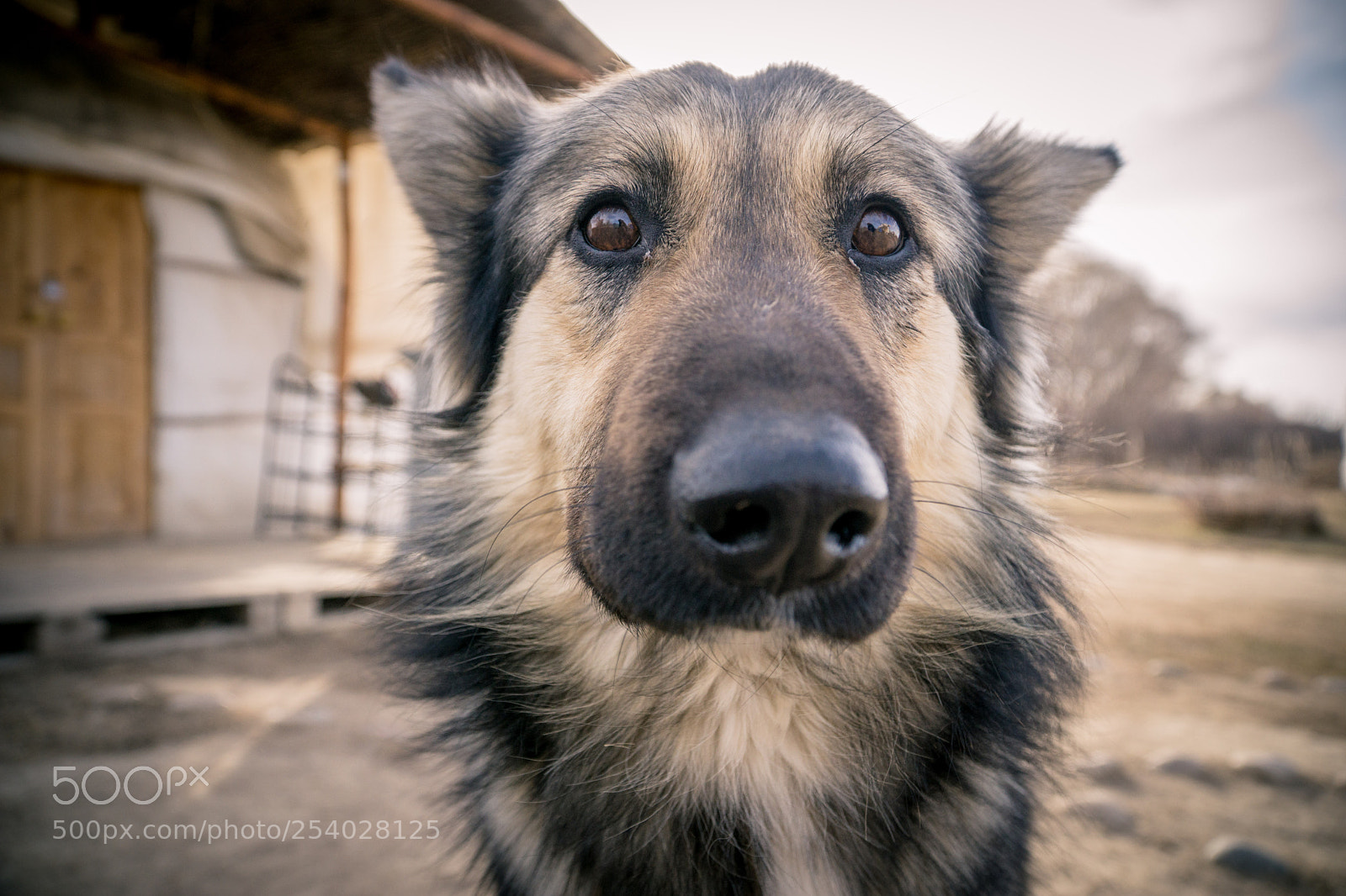 Sony a6000 sample photo. Shurik photography