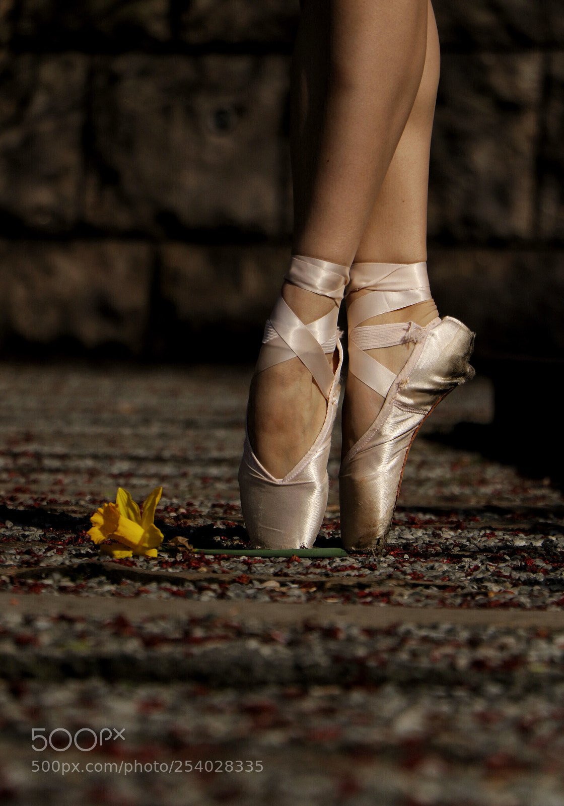 Canon EOS 7D Mark II sample photo. Get the pointe ..  photography