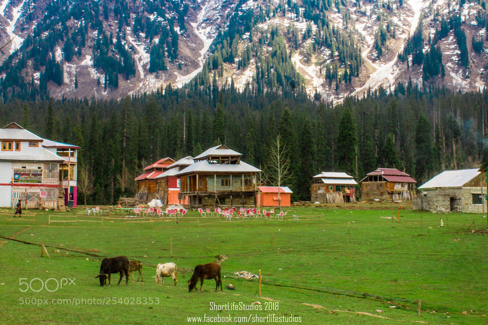 Canon EOS 1100D (EOS Rebel T3 / EOS Kiss X50) sample photo. Aarang kel, kashmir photography