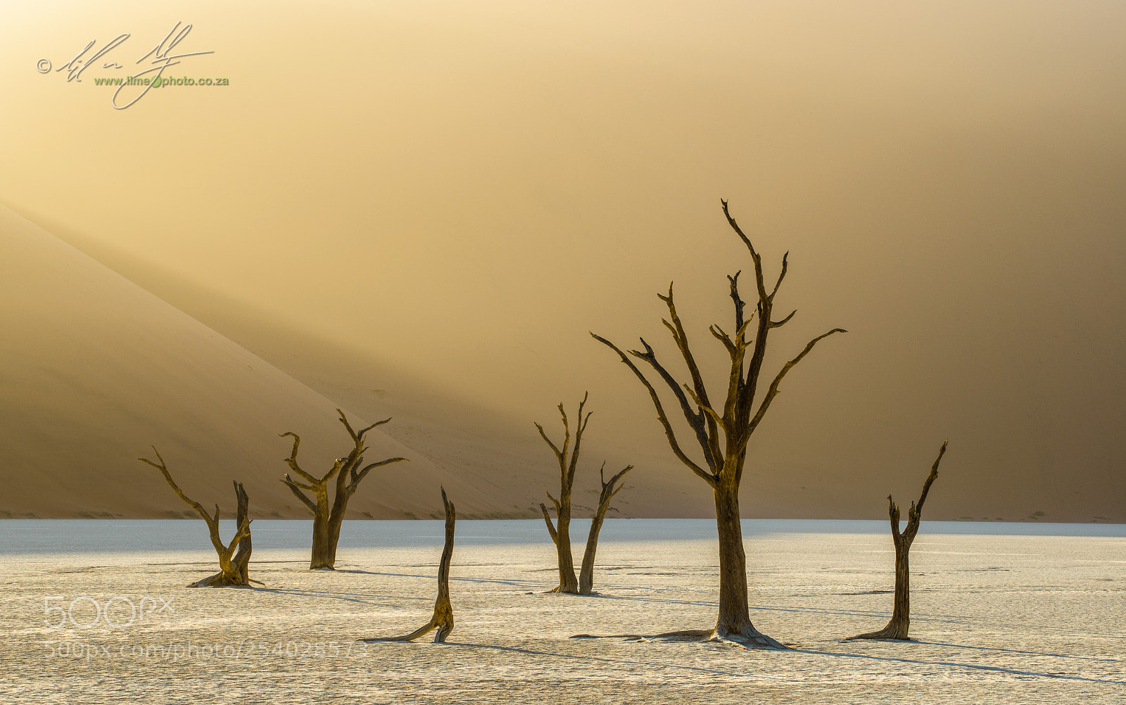 Nikon D800E sample photo. Dead vlei light photography
