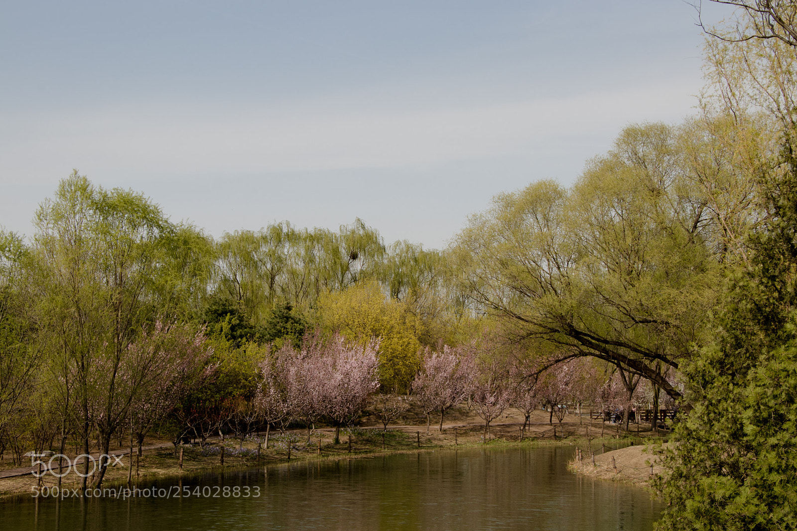 Canon EOS 80D sample photo. Img photography