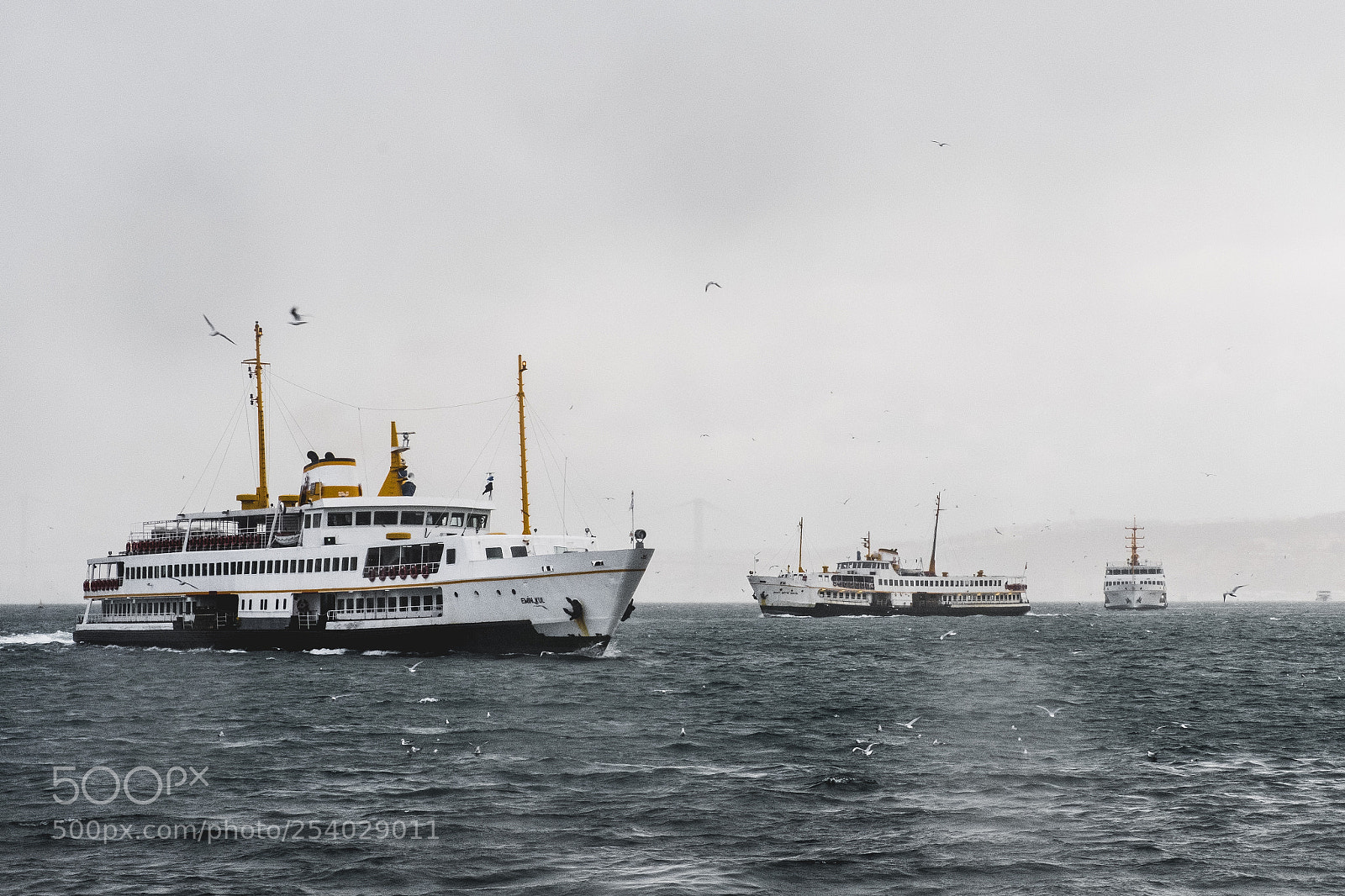 Fujifilm X-T2 sample photo. Ferries in bosphorus photography