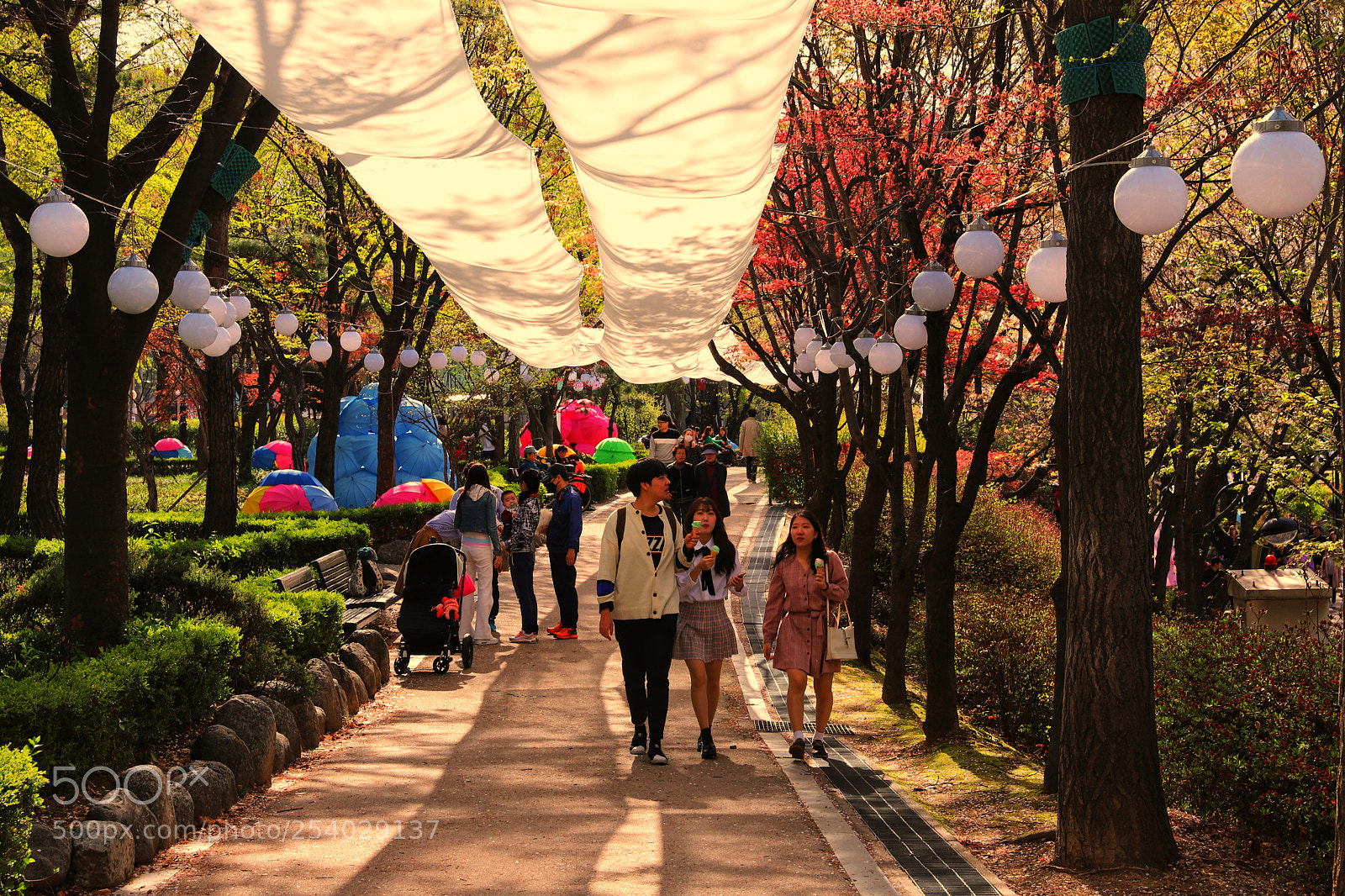 Canon EOS 6D Mark II sample photo. A warm and covered photography
