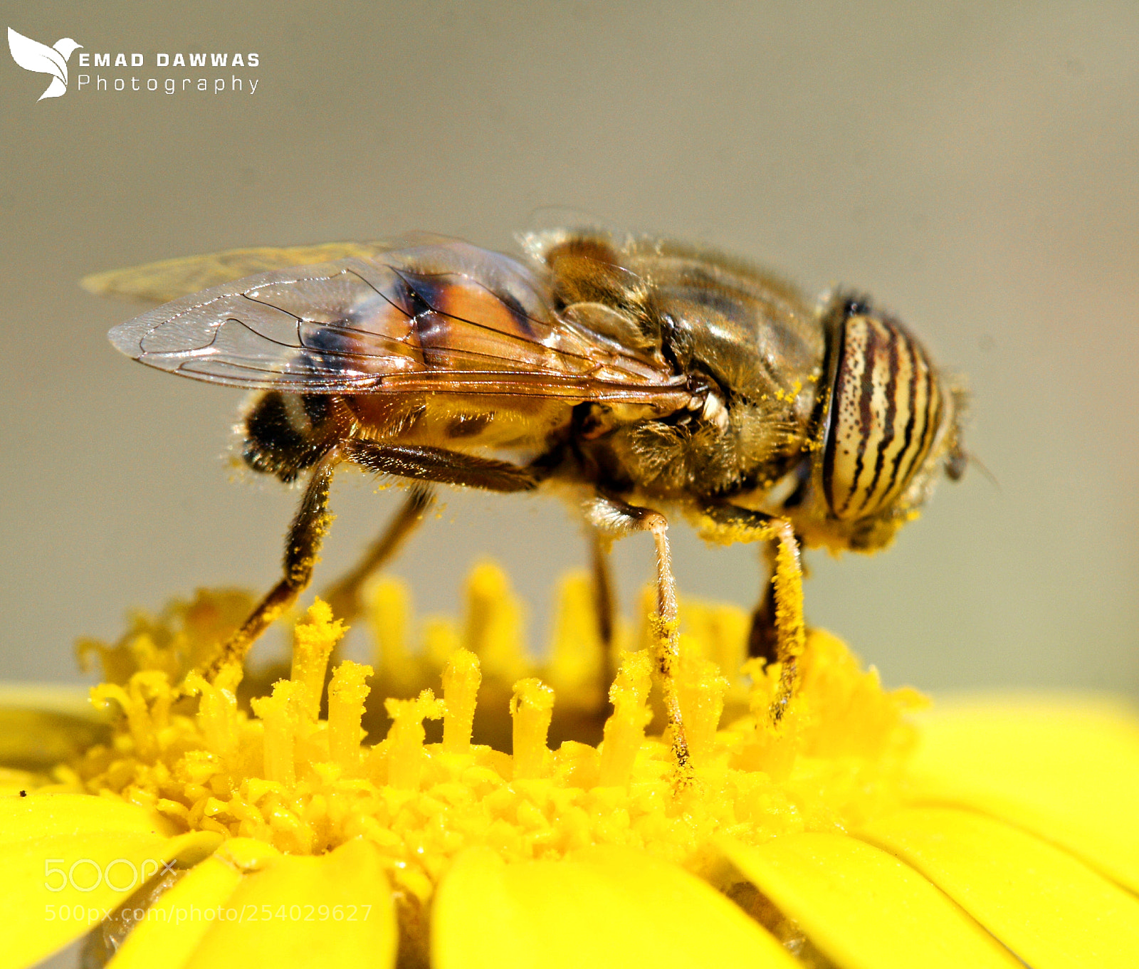 Canon EOS 70D sample photo. Untitled photography