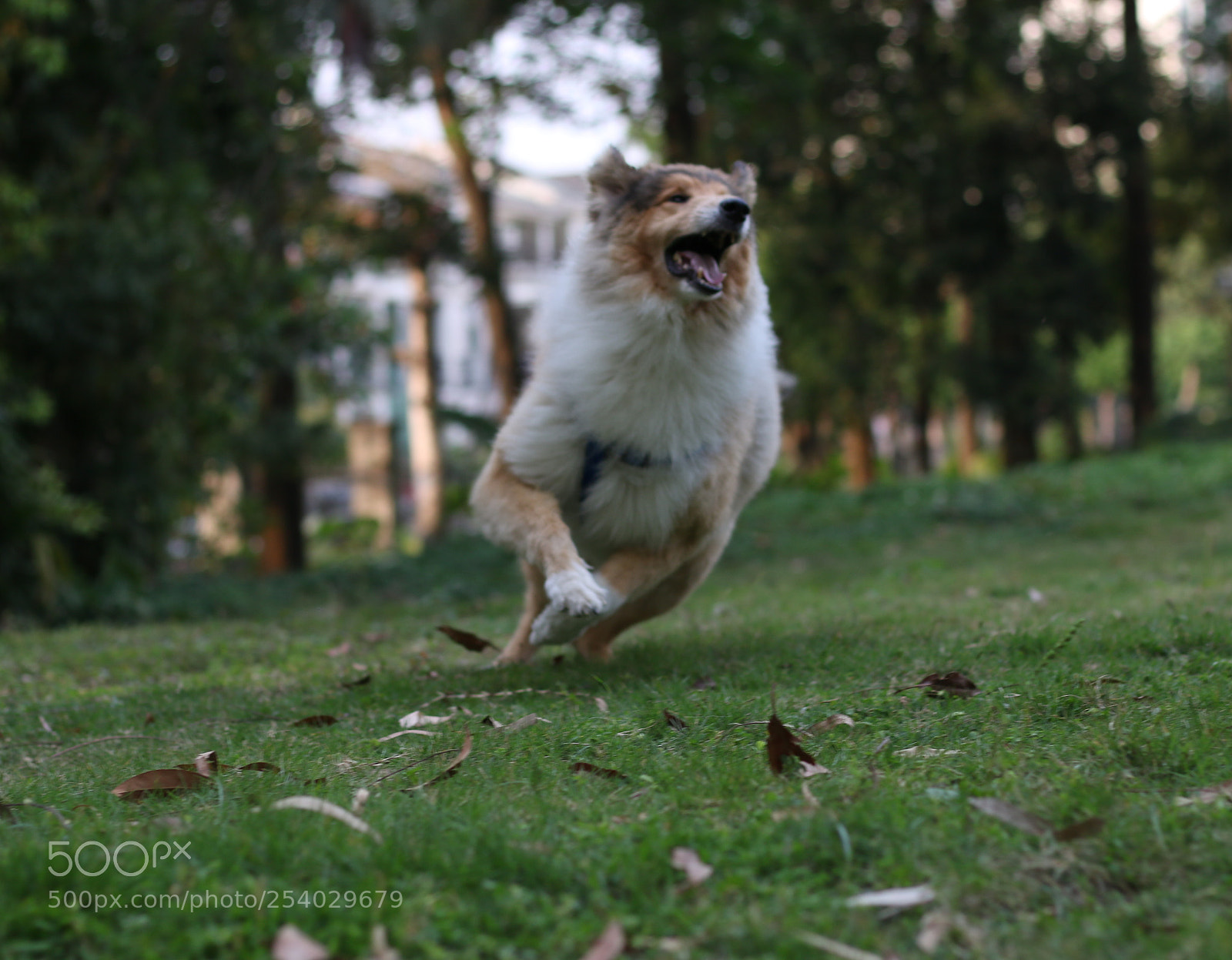 Canon EOS 70D sample photo. Dbcf dee fb ebbecedtmp photography