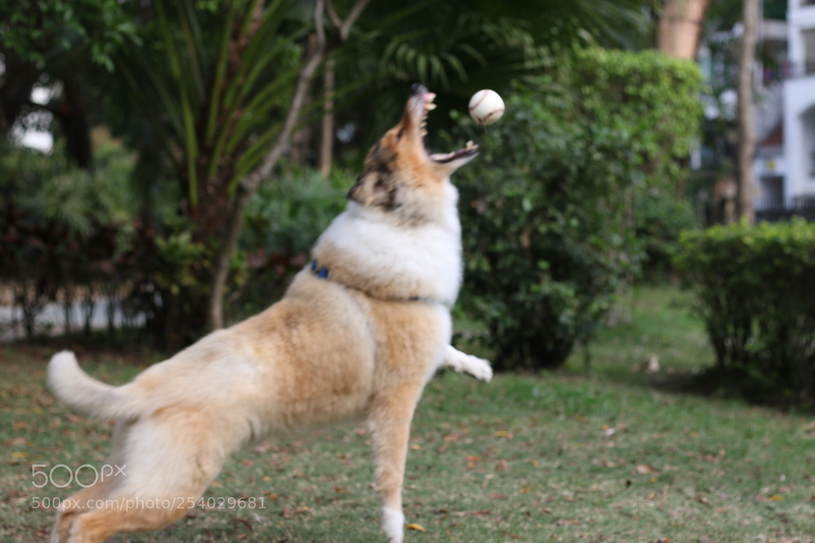 Canon EOS 70D + Canon EF 50mm F1.8 STM sample photo. Caefacb faebbdb tmp photography