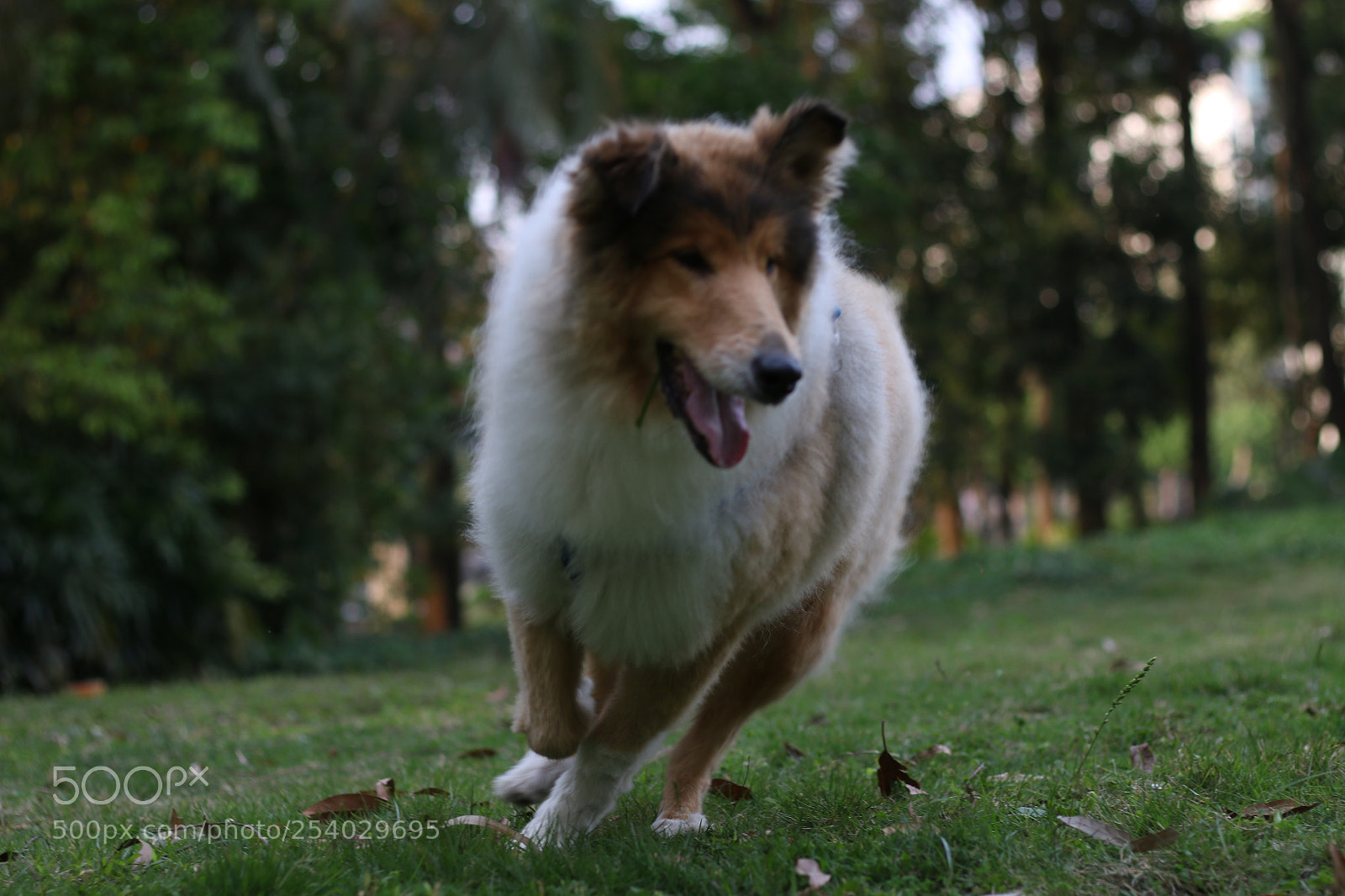 Canon EOS 70D + Canon EF 50mm F1.8 STM sample photo. Dafdbaafbdebbfefca tmp photography