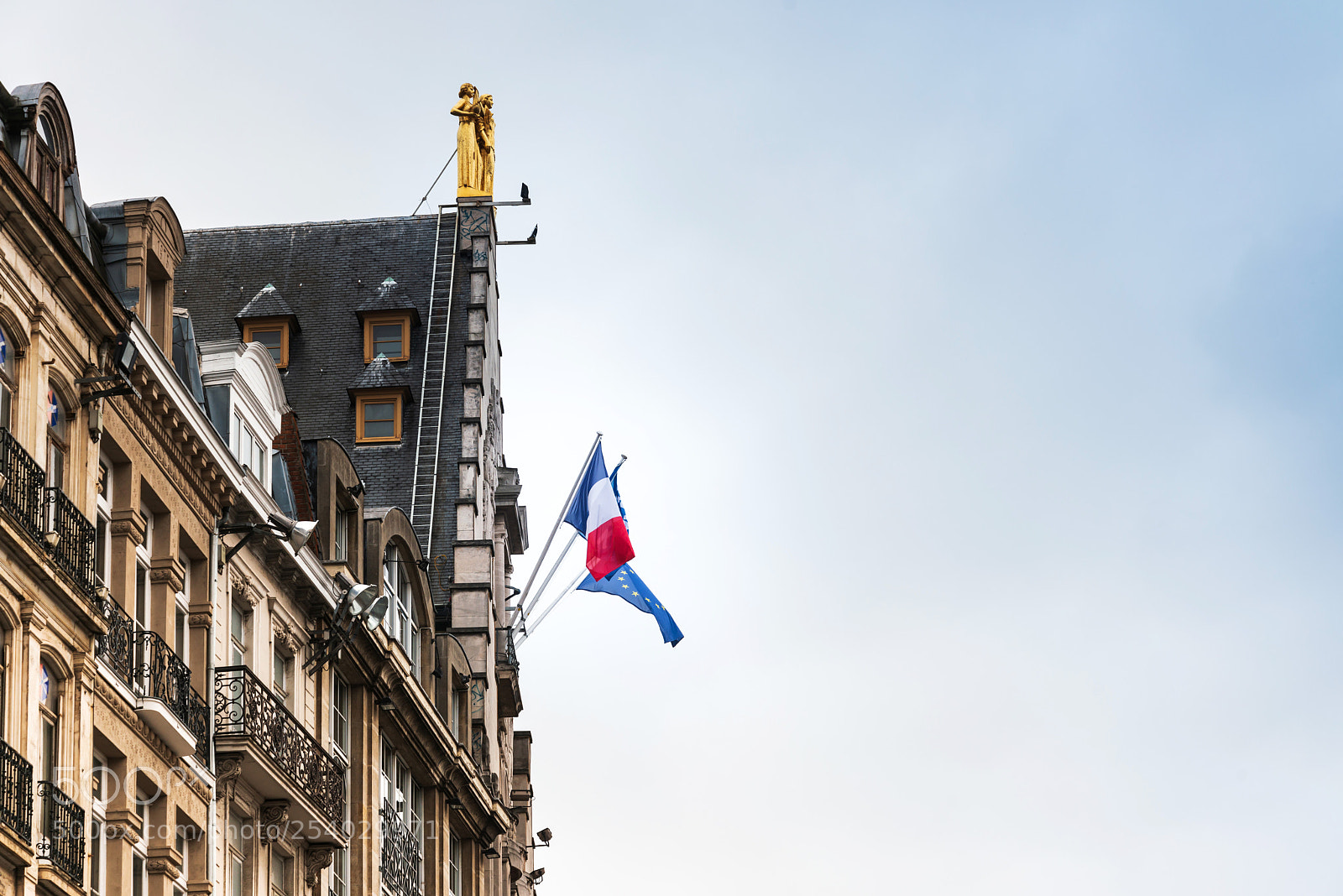 Nikon D800 sample photo. Flag of france in photography