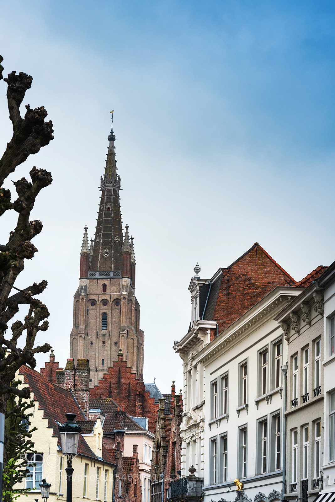 Nikon D800 sample photo. St. salvator's cathedral of photography