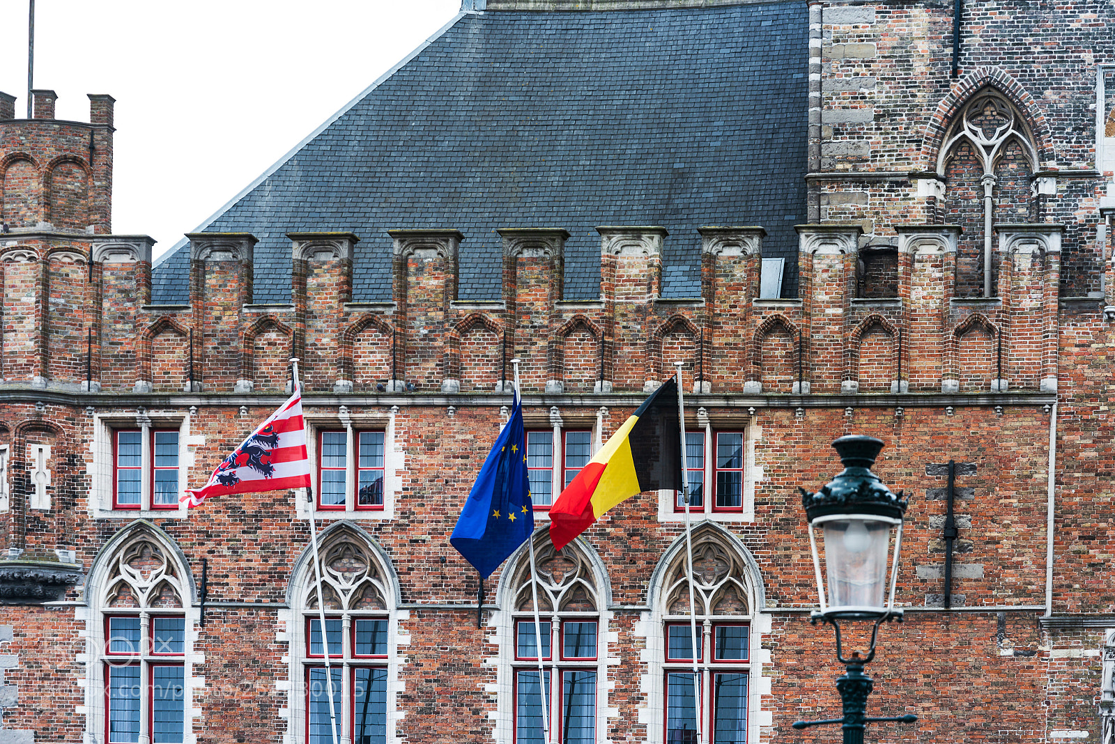 Nikon D800 sample photo. Flag of belgium in photography