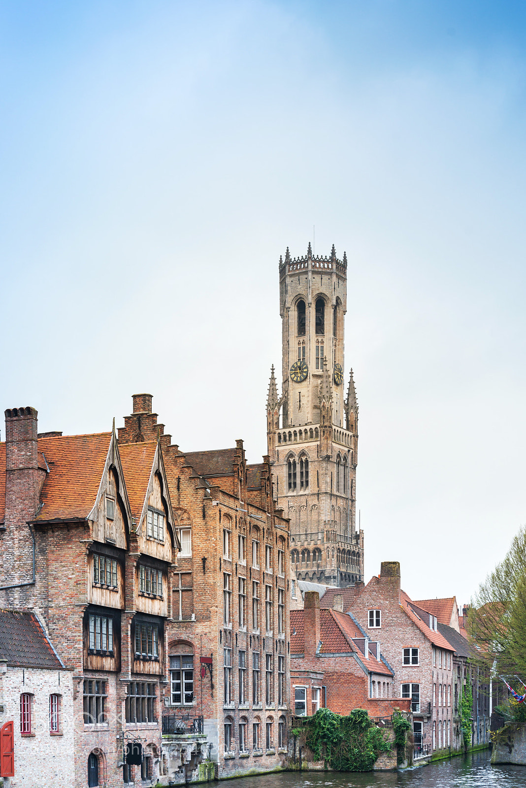 Nikon D800 sample photo. St. salvator's cathedral of photography