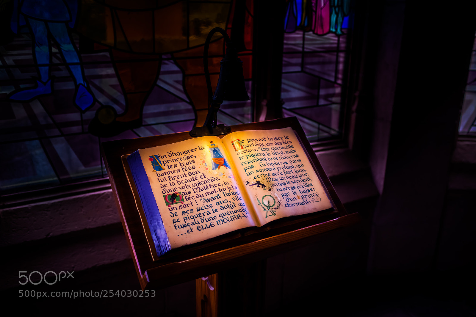 Canon EOS 5D Mark II sample photo. Fairytale photography