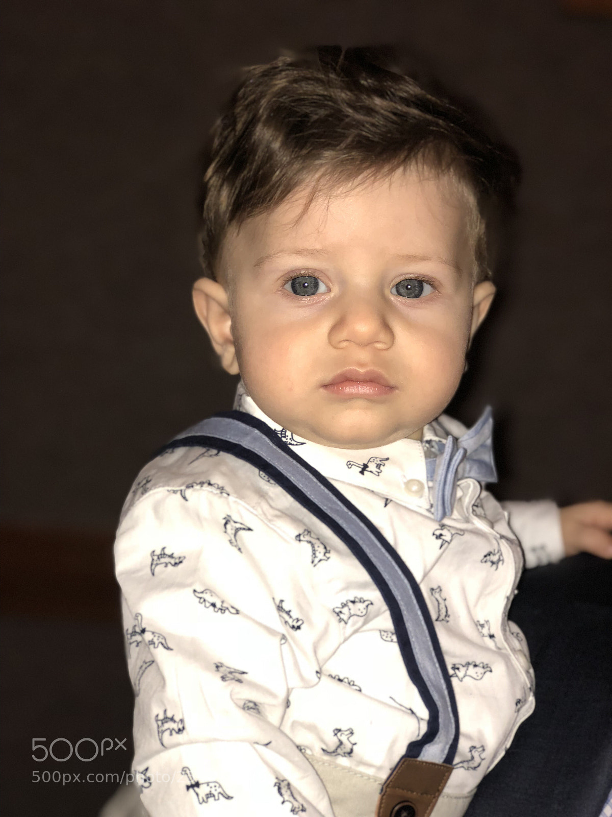 Apple iPhone 8 Plus sample photo. Untitled photography
